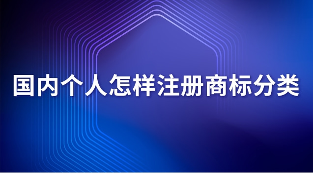 国内个人怎样注册商标分类